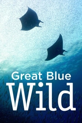 Great Blue Wild смотреть онлайн